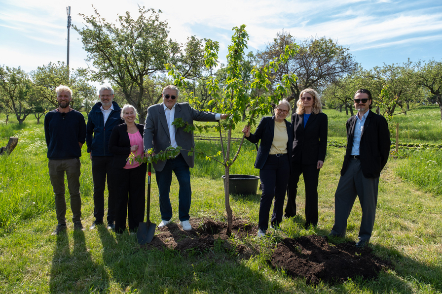 Eine Gruppe von sieben Personen steht um einen neu gepflanzten Baum in einem grünen, sonnigen Garten. Zwei Personen halten Schaufeln. Im Hintergrund sind weitere Bäume und Wiese sichtbar. Alle Anwesenden lächeln und tragen unterschiedliche Kleidung.