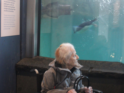 Eine ältere Frau im Rollstuhl beobachtet Pinguine im Aquarium.