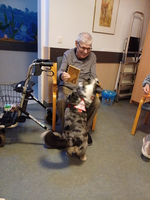 Ein älterer Mann hält ein Bild und lacht mit einem Hund.