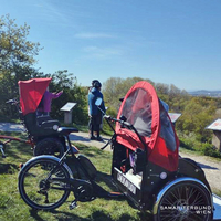 Zwei rote Rikschas stehen auf einem Hügel geparkt