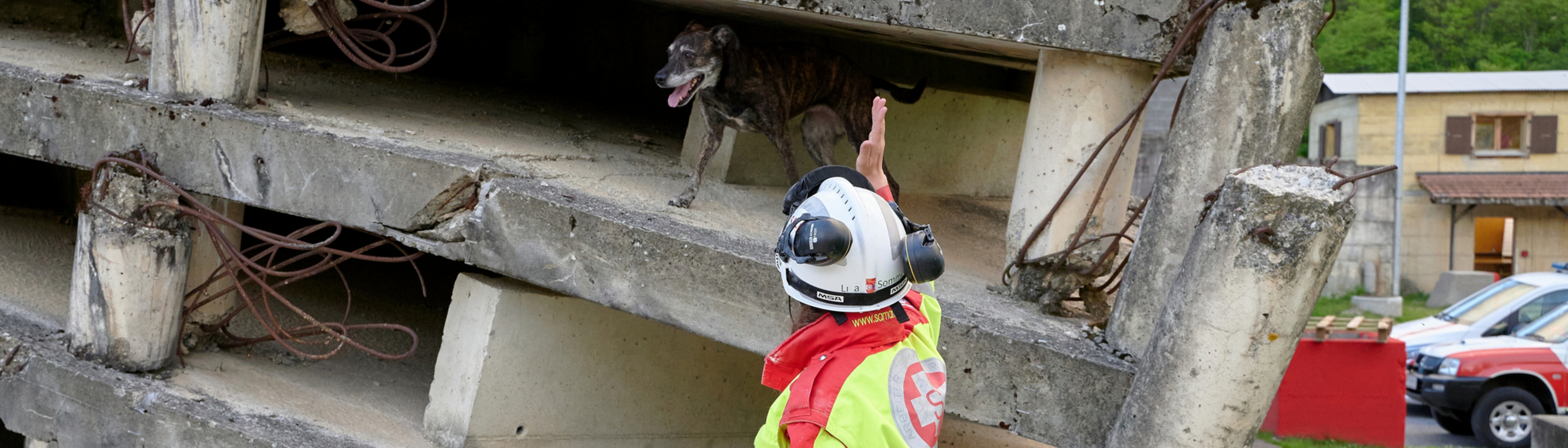 Hundeführerin gibt Rettungshund Zeichen für die Suche nach Verletzten