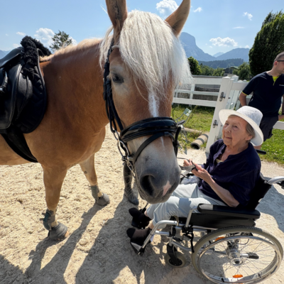 Eine ältere Frau im Rollstuhl interagiert mit einem großen, braunen Pferd.