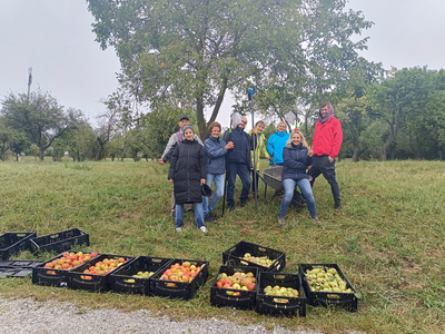 Zu sehen sind 8 Personen mit Werkzeug vom Pflücken. Davor etliche vollbepackte Obstkisten. Im Hintergrund sieht man Wiese und Bäume. 